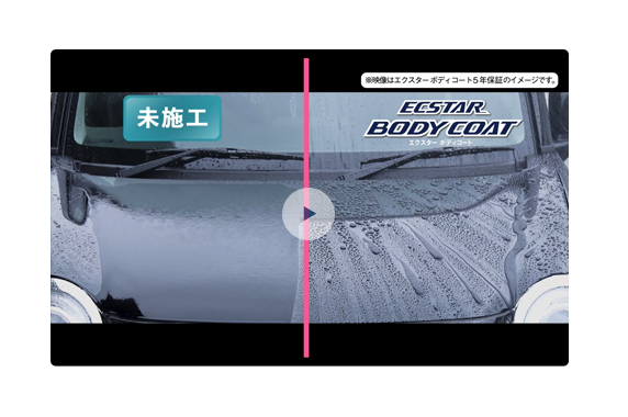 スズキ ECSTAR  ボディーコート5年保証　2個セット