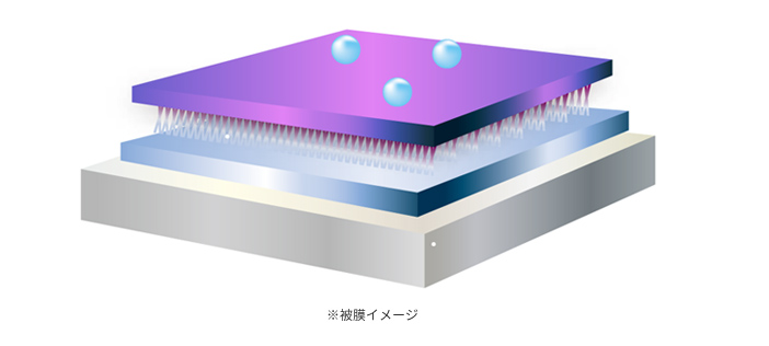 ガラス系被膜が魅せる艶