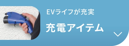 充電アイテム