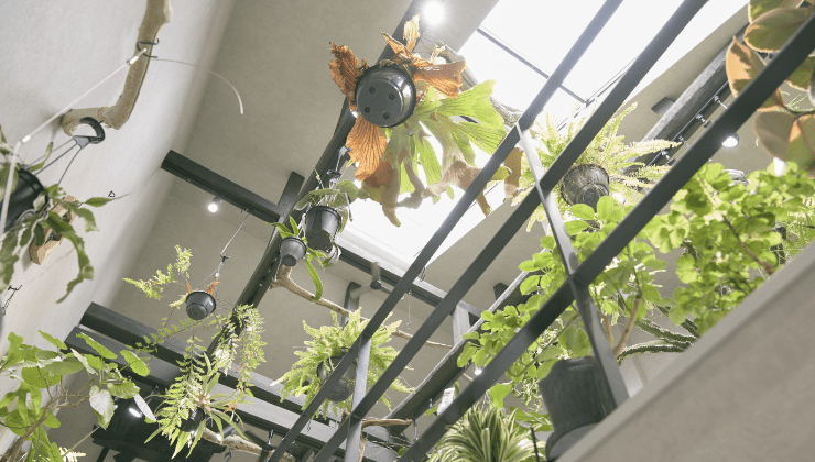 観葉植物販売店の店内の様子