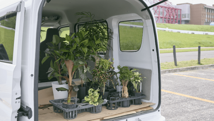 駐車場で観葉植物が詰まれたエブリイ