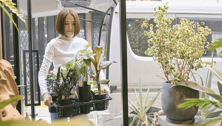 店内に植物を運び込む女性