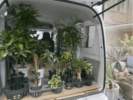 エブリイの荷室に観葉植物が並ぶ様子