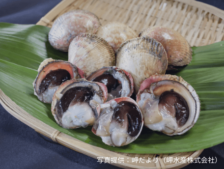 トリ貝