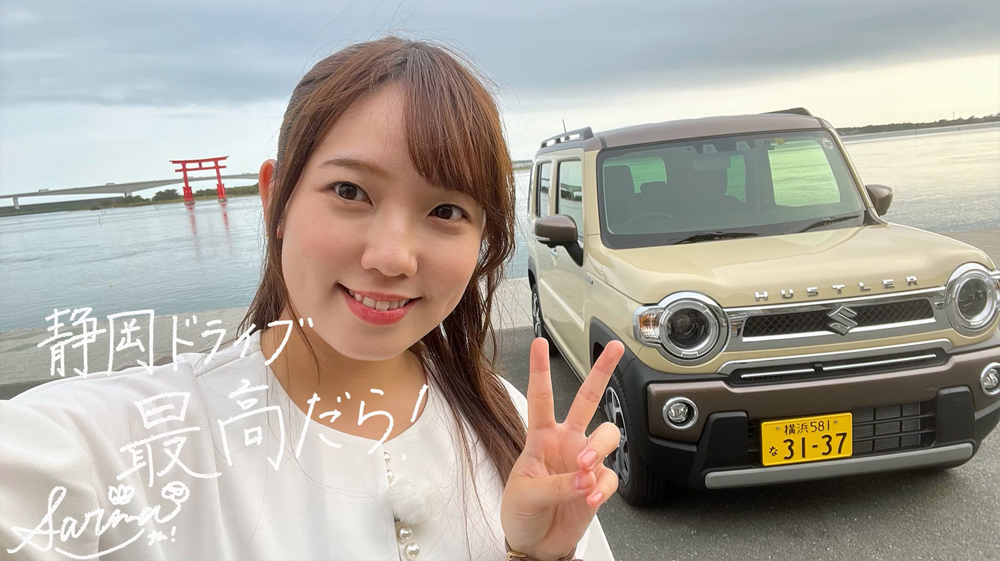 動画を再生