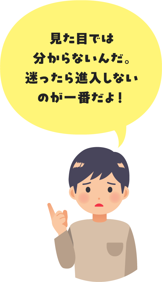 ⾒た⽬では分からないんだ。迷ったら進⼊しないのが⼀番だよ！