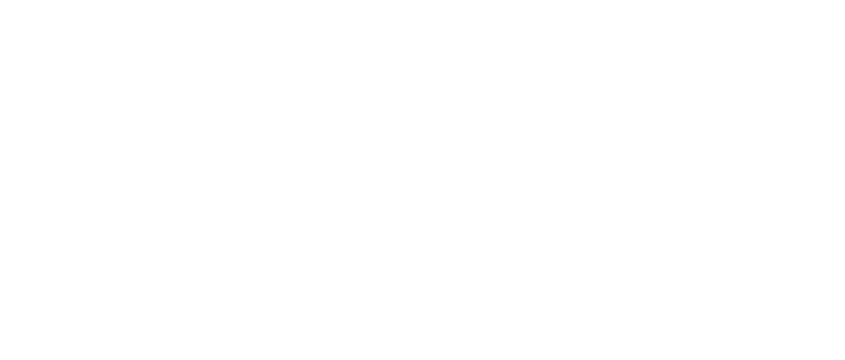 ACCESSORY