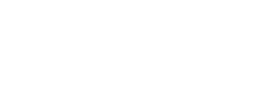 ACCESSORY