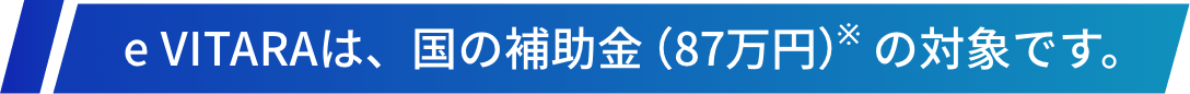 e VITARAは、国の補助金(87万円)*の対象です。