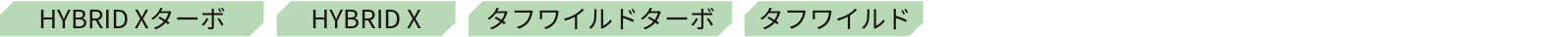 HYBRID Xターボ HYBRID X タフワイルドターボ タフワイルド