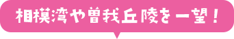 相模湾や曽我丘陵を一望!
