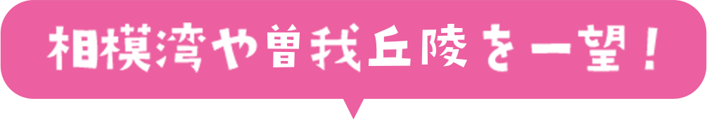 相模湾や曽我丘陵を一望!