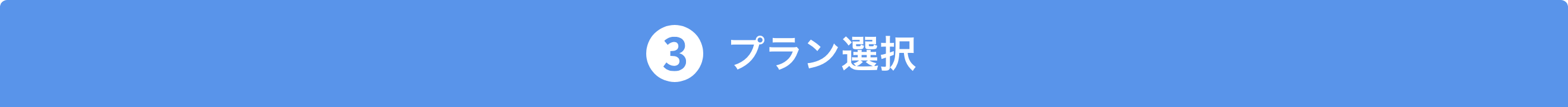 3 プラン選択