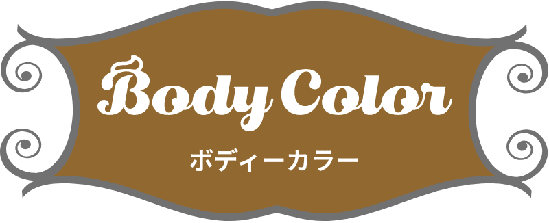 Body Color ボディーカラー