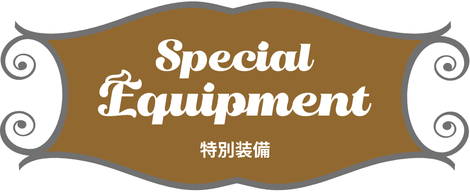 Special Equipment 特別装備