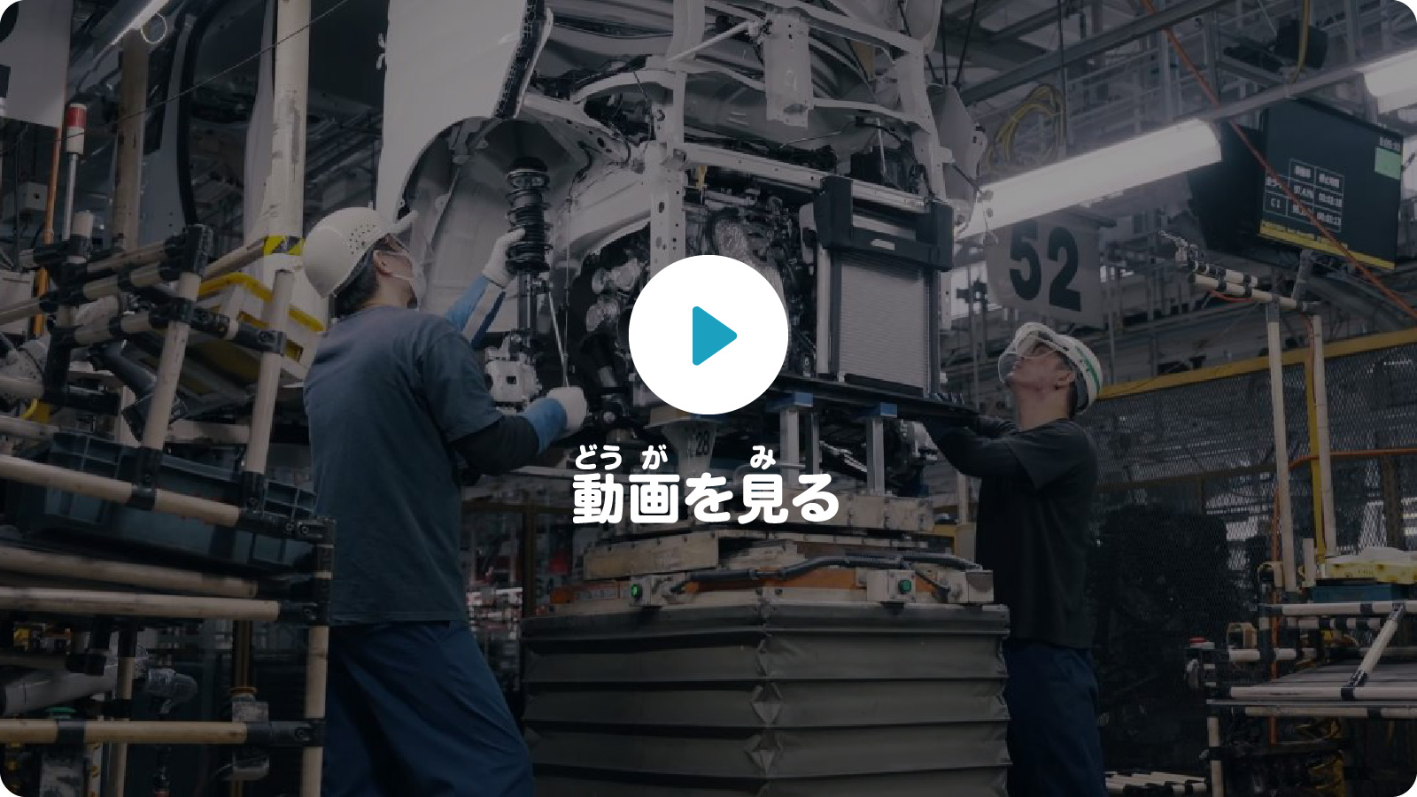 動画を見る