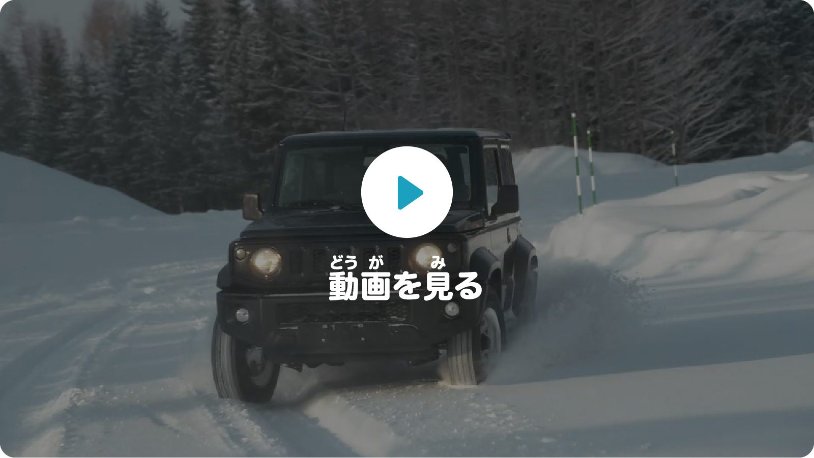 動画を見る