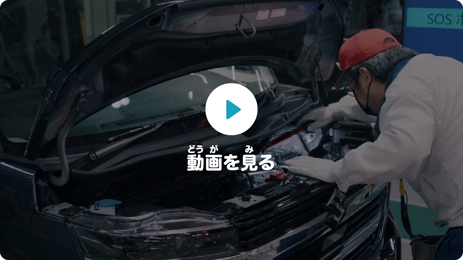 動画を見る