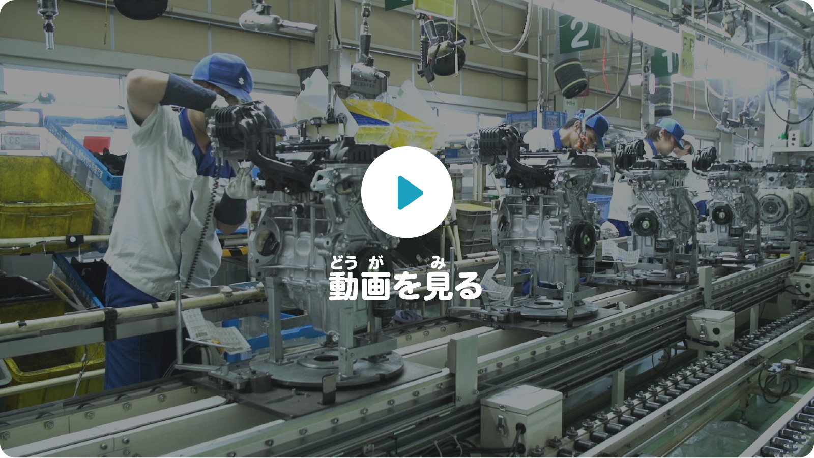 動画を見る