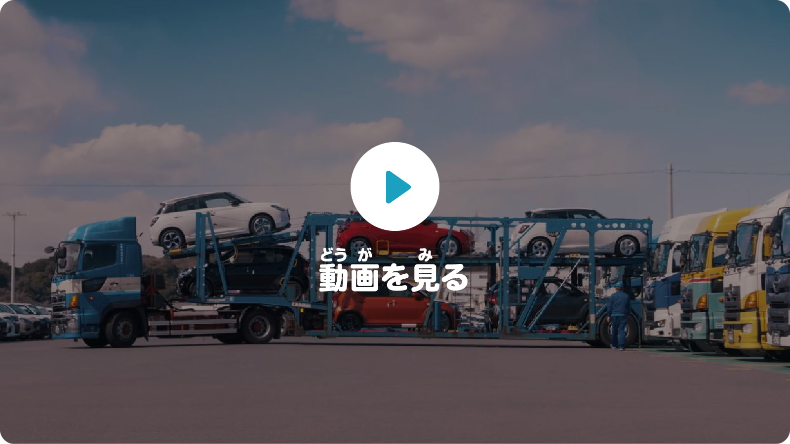 動画を見る