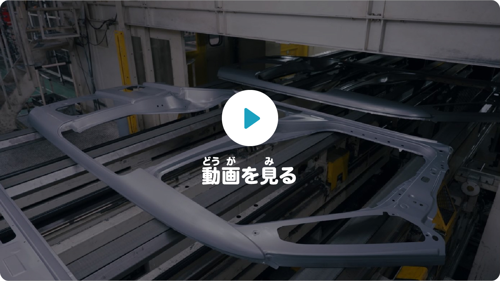 動画を見る