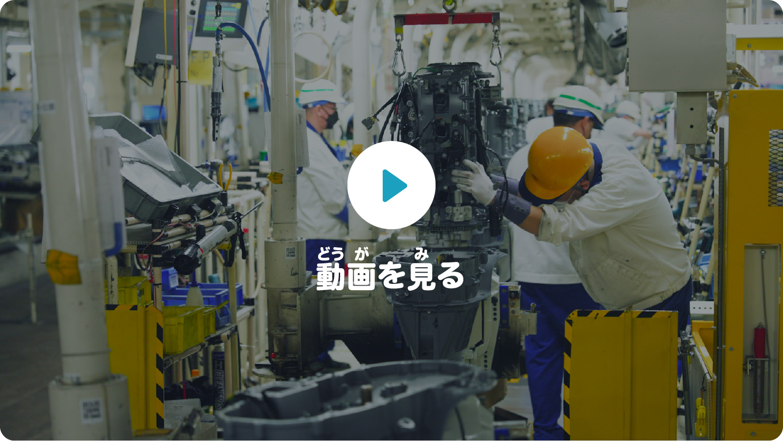 動画を見る