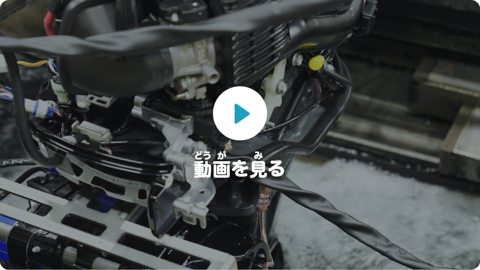 動画を見る
