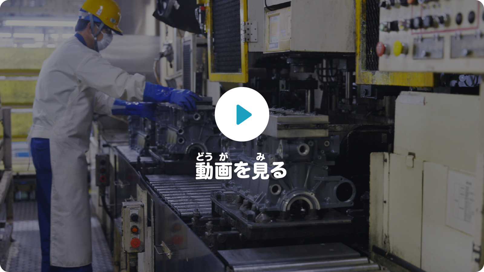 動画を見る