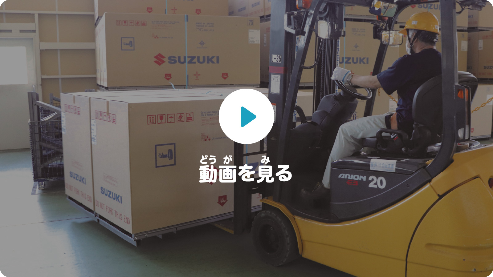 動画を見る