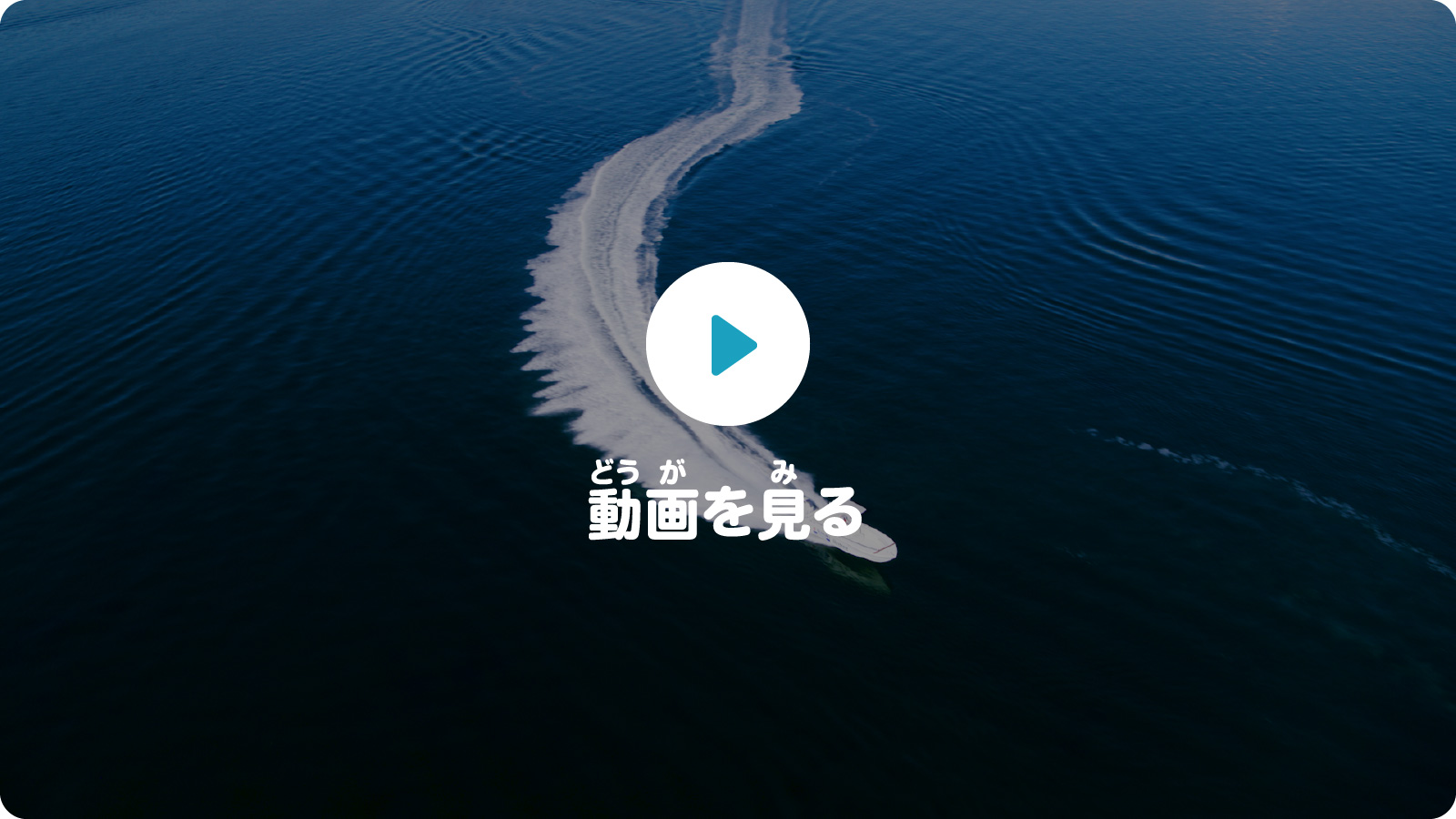 動画を見る