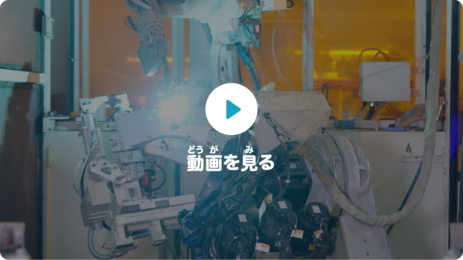 動画を見る