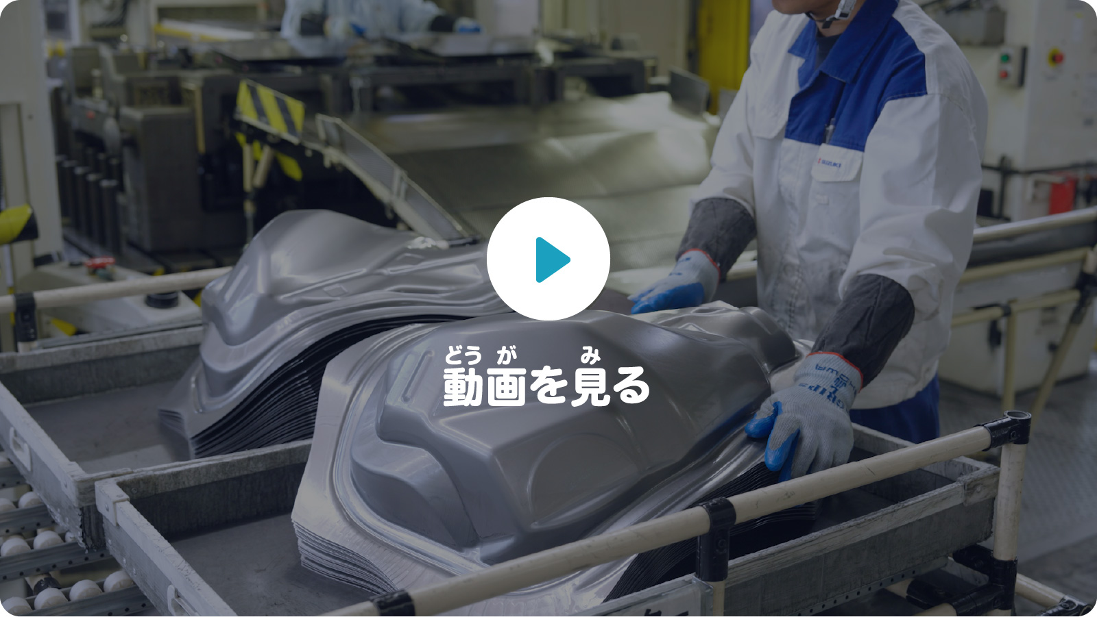 動画を見る