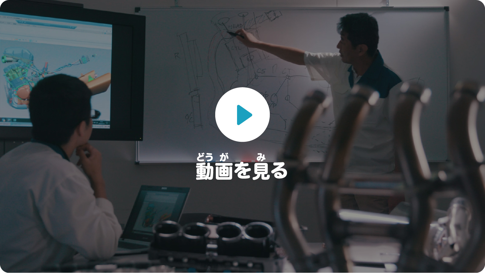 動画を見る