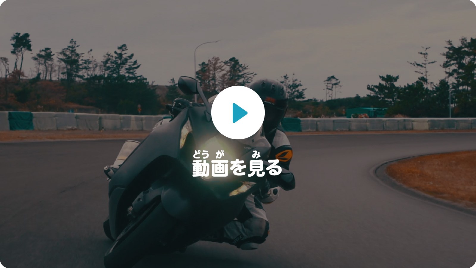 動画を見る