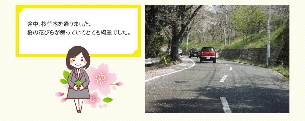 途中、桜並木を通りました。桜の花びらが舞っていてとても綺麗でした。
