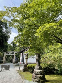 梅雨の晴れ間に心癒される♡