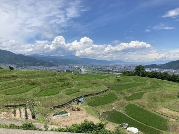 本日5月４日は