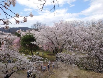 見納めですね