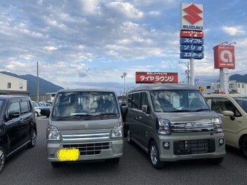 人気色の仲間入り！