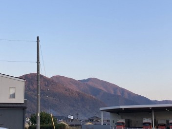 今年は