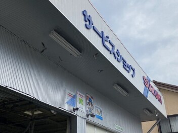 ツバメ日記２０２４　最終章