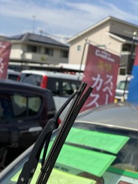 梅雨入りですね