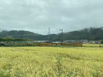 そんな時期ですね！