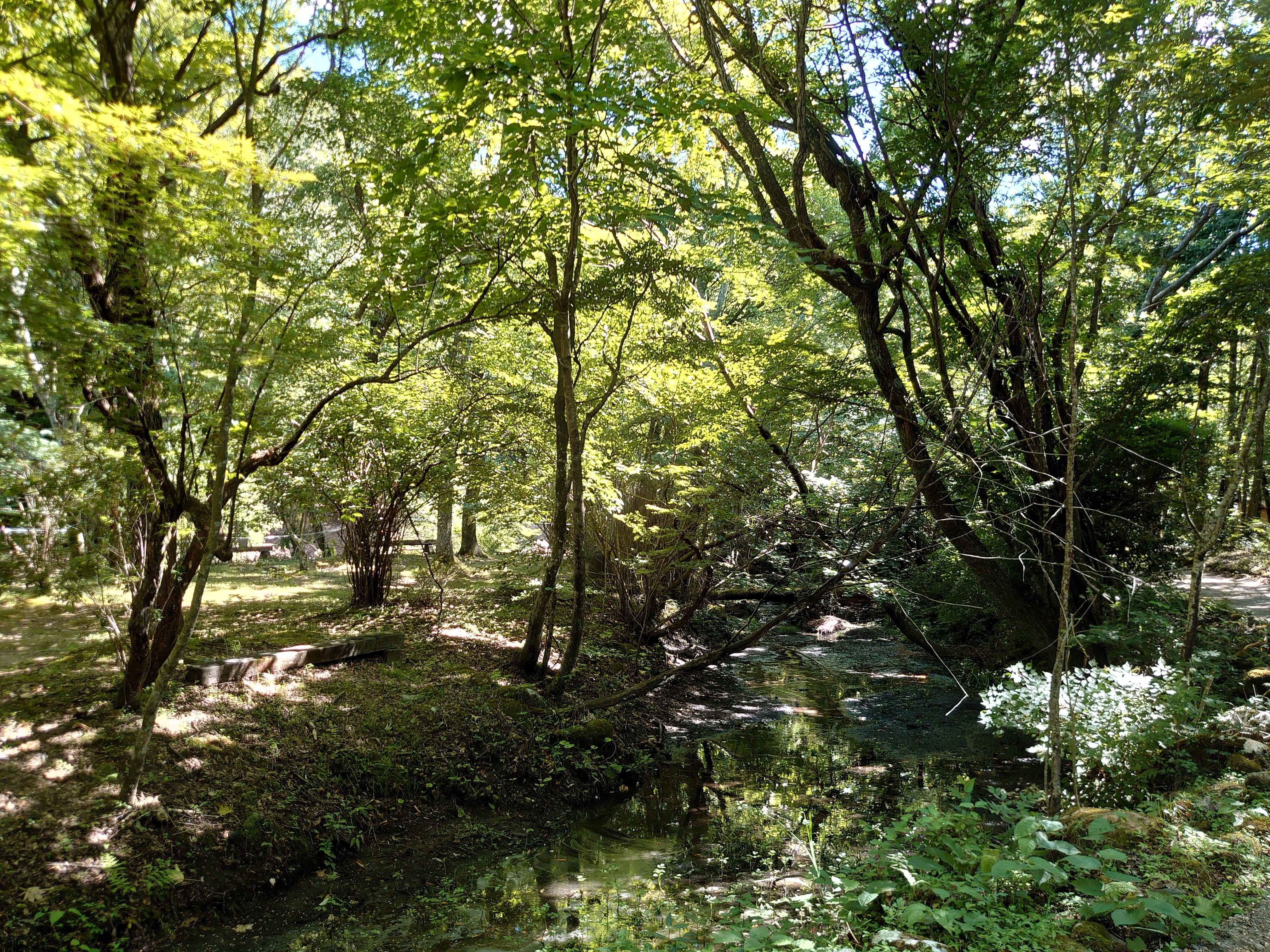 エスクードでキャンプしてきました 周辺のおすすめスポット お店ブログ 株式会社スズキ自販大分 スズキアリーナ大分中央