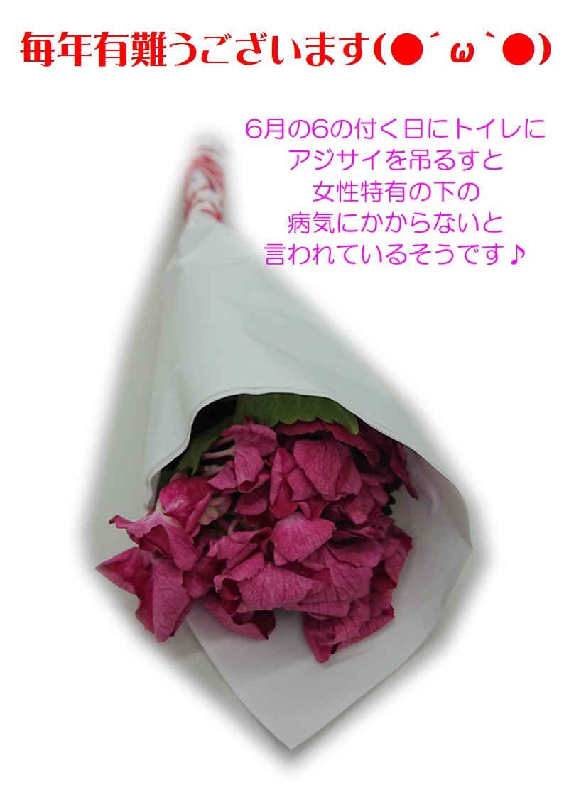 あじさいのおまじない 艸 その他 お店ブログ 株式会社南海スズキ オートピア S あじさいのおまじない 艸 その他 お店ブログ 株式会社南海スズキ オートピア S