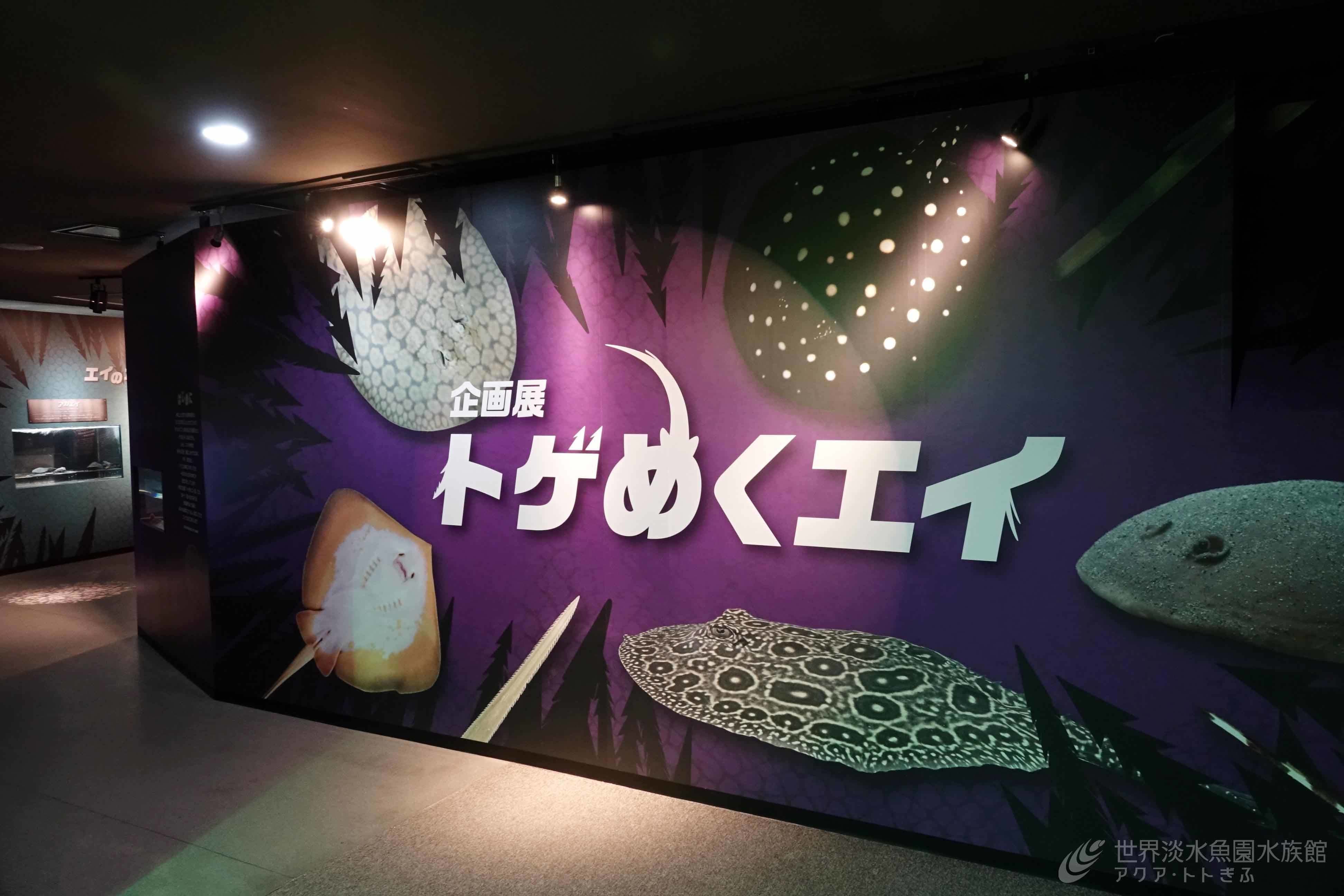 スティングレイ その他 お店ブログ 岐阜スズキ販売株式会社 スズキアリーナ長良 スティングレイ その他 お店ブログ 岐阜スズキ販売株式会社 スズキアリーナ長良