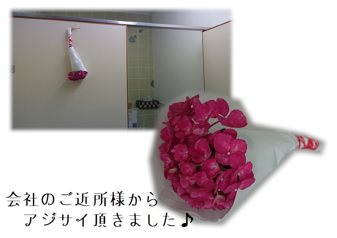 あじさいのおまじない W その他 お店ブログ 株式会社南海スズキ オートピア S あじさいのおまじない W その他 お店ブログ 株式会社南海スズキ オートピア S