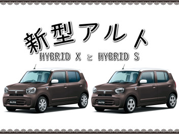 スタッフによるクルマ紹介 石東スズキ株式会社