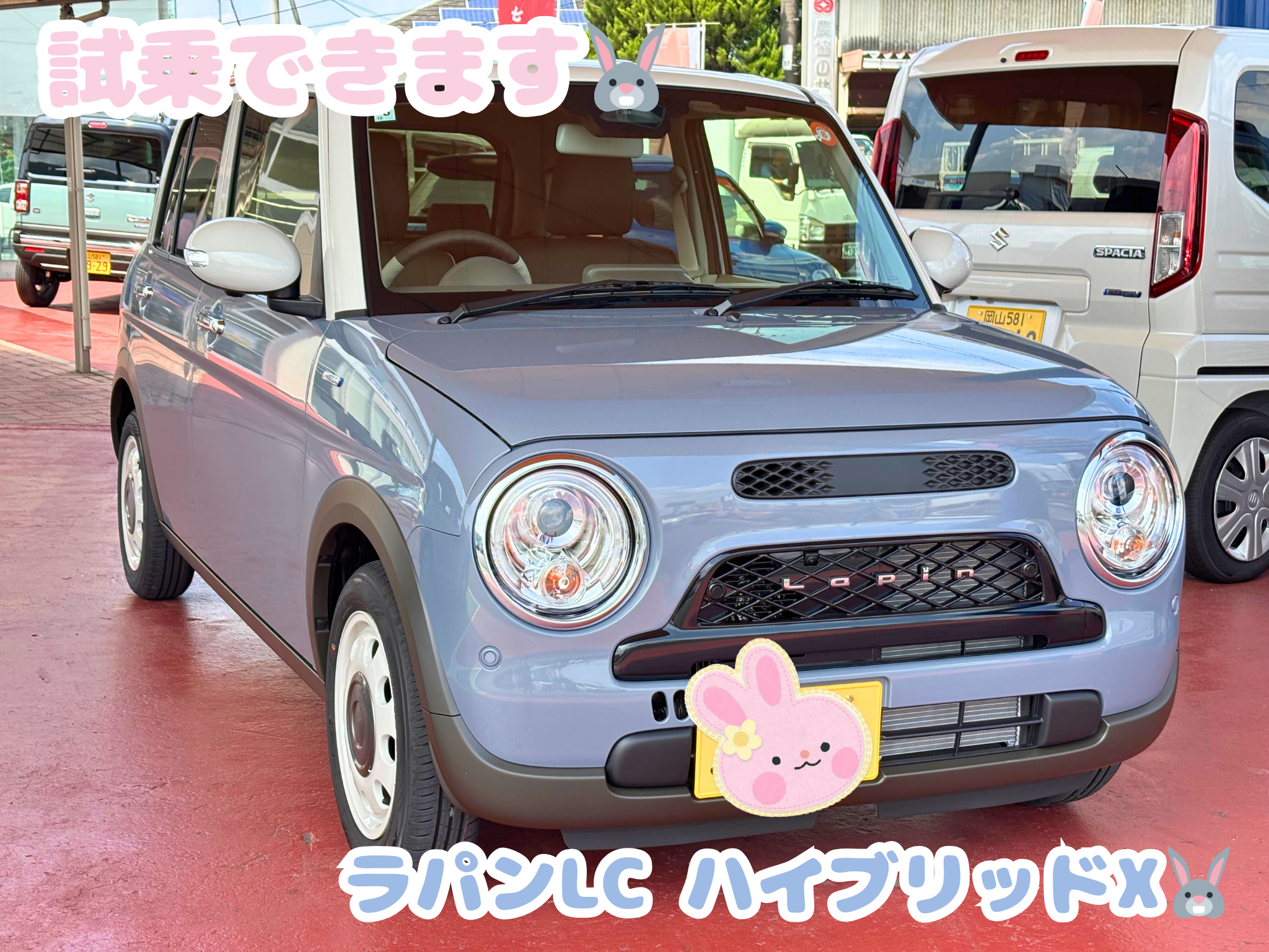 NEWラパンLC♡試乗車入りました♪｜新車情報｜お店ブログ｜東中国スズキ自動車株式会社 スズキアリーナ津山口