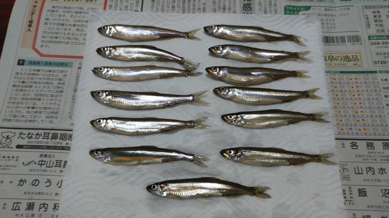ワカサギ釣り 周辺のおすすめスポット お店ブログ 岐阜スズキ販売株式会社 スズキアリーナ鵜沼 ワカサギ釣り 周辺のおすすめスポット お店ブログ 岐阜スズキ販売株式会社 スズキアリーナ鵜沼